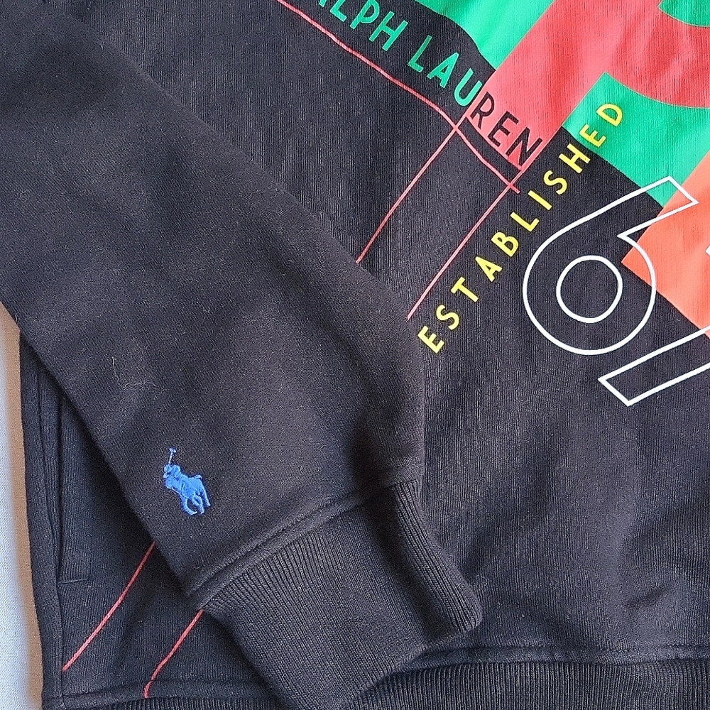 NWT$249 Polo Ralph Lauren Colorblock Logo Print Fleece Hoodie Sweatshirt M - Picture 8 of 16